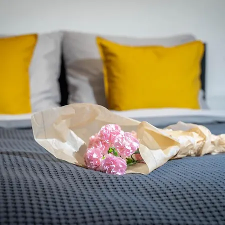 W Srodmiesciu Odnowa Апартаменты *